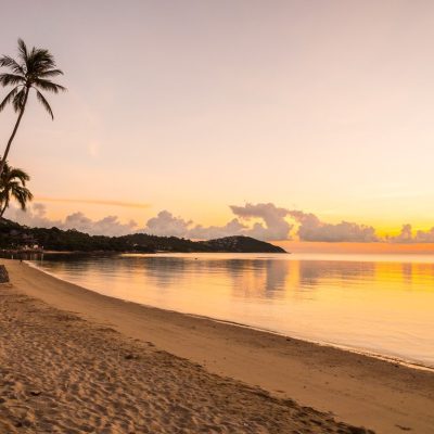 Beautiful tropical beach sea and ocean with coconut palm tree at sunrise time for travel and vacation