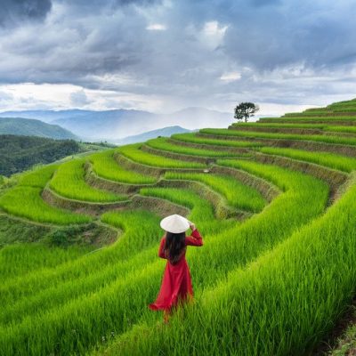 Asian woman wearing Vietnam culture traditional at rice terrace of Ban pa bong piang in Chiangmai, Thailand.